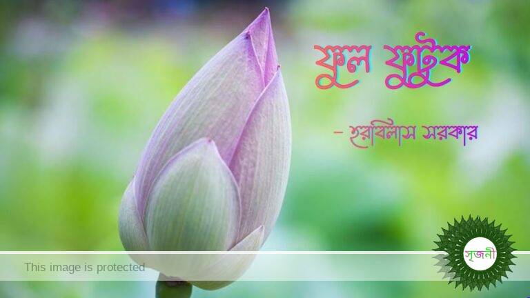 IMG 20221204 WA0005